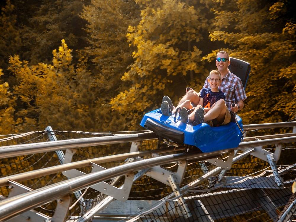 Top 7 Attractions for Thrill Seekers in the Smoky Mountains | Bear Tracts