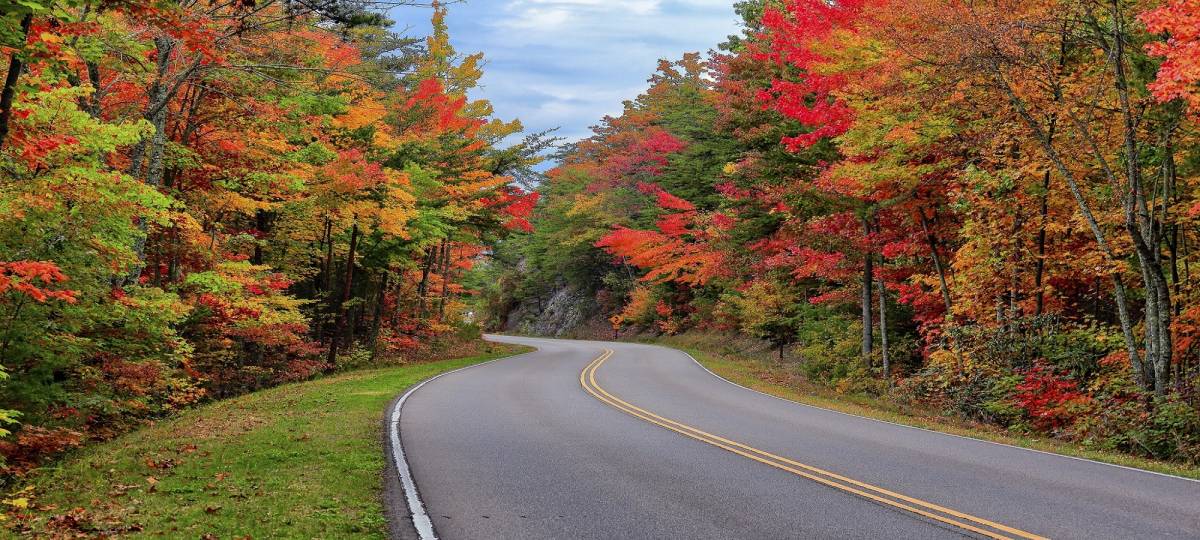 Guided Smoky Mountains Tours | Bear Tracts