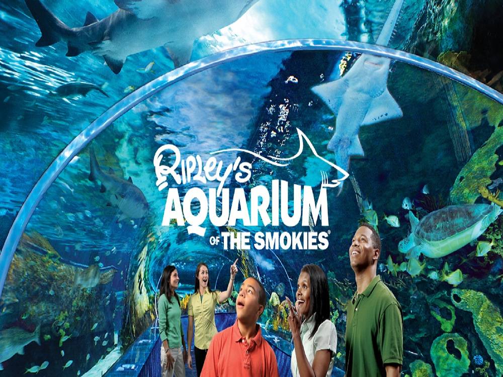 Ripley's Aquarium Of The Smokies 