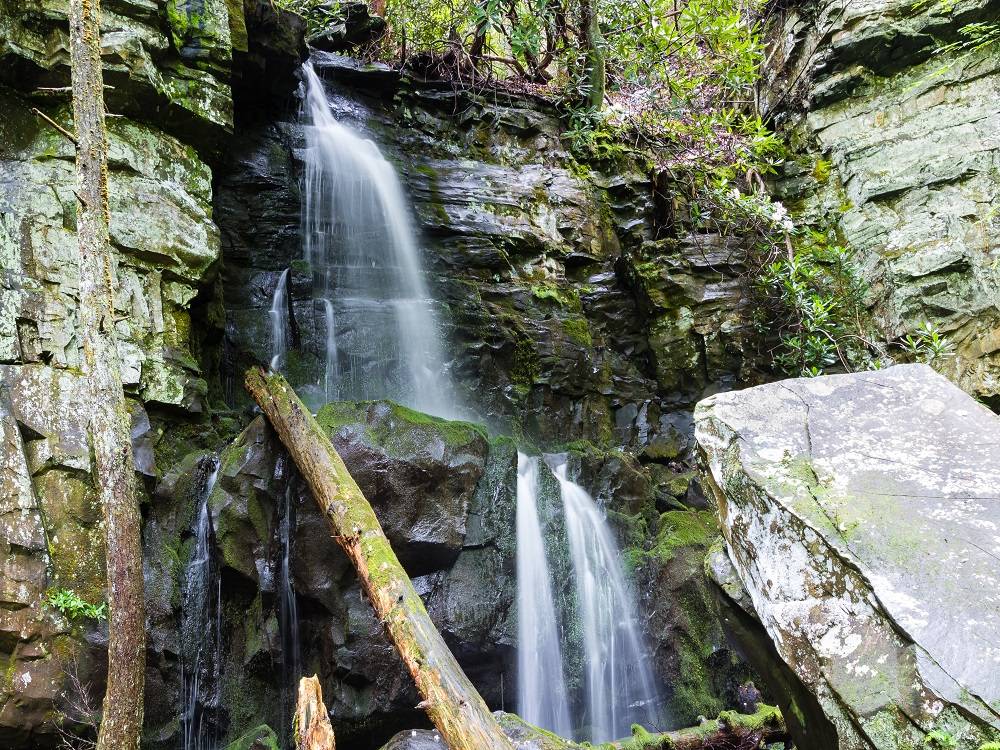 Baskins Creek Trail | Bear Tracts